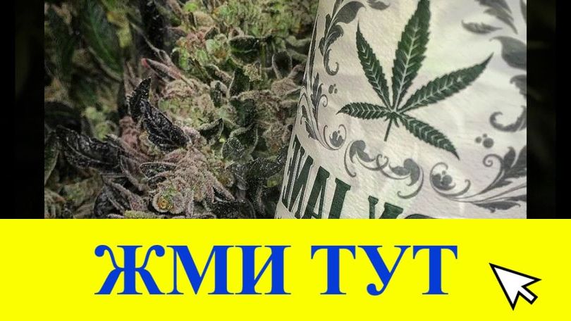 Купить наркотики в Можге